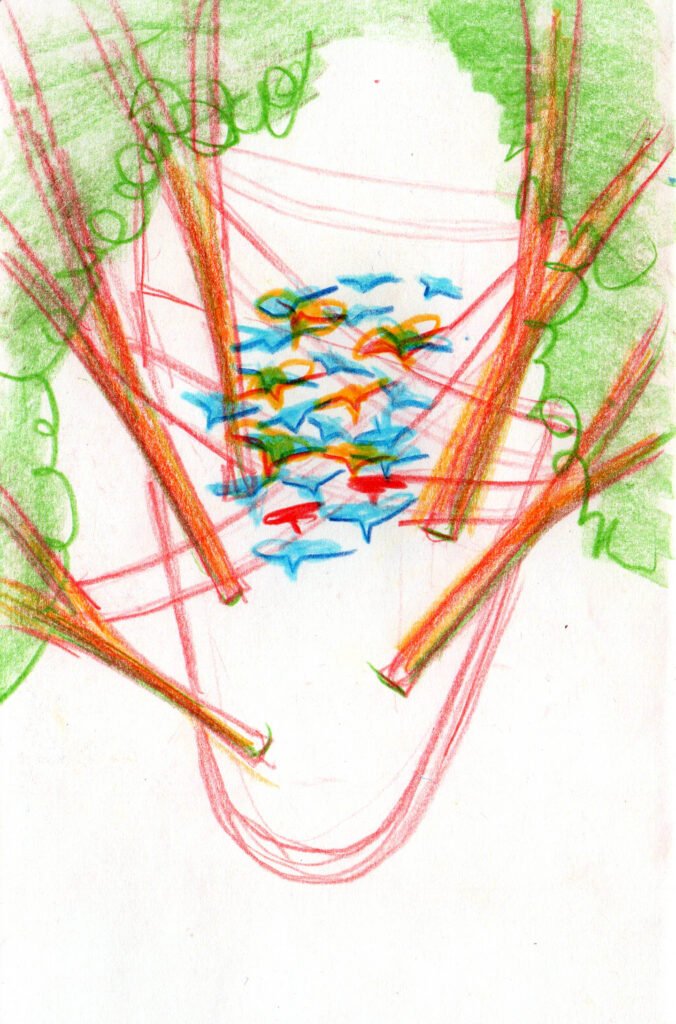 Boceto a lápiz de colores de una instalación entre árboles, con varias siluetas de aves de colores agrupadas en el centro de una red de hilos tensados entre las copas.