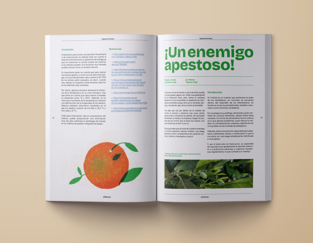 Proyecto Revista Mundo Artrópodo (Diseño Gráfico) — imagen 5