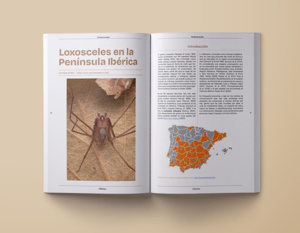 Proyecto Revista Mundo Artrópodo (Diseño Gráfico) — imagen 9