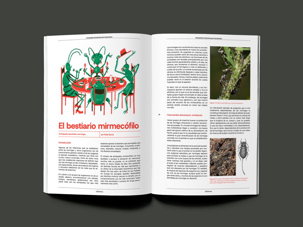 Proyecto Revista Mundo Artrópodo (Diseño Gráfico) — imagen 3