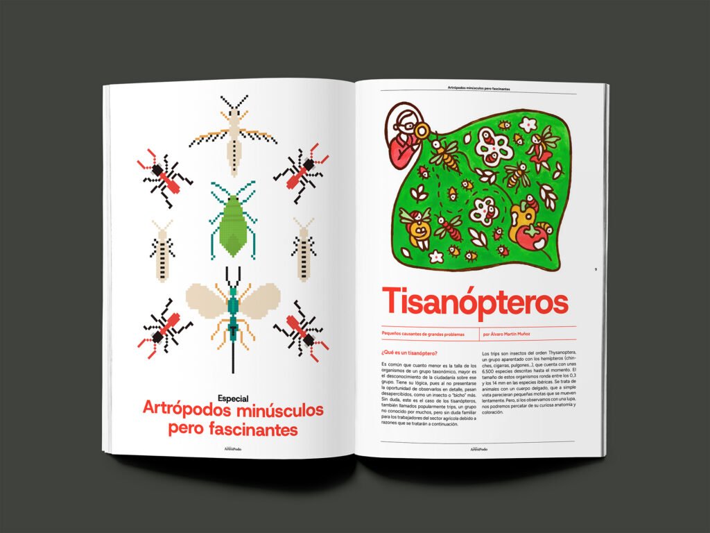 Proyecto Revista Mundo Artrópodo (Diseño Gráfico) — imagen 4